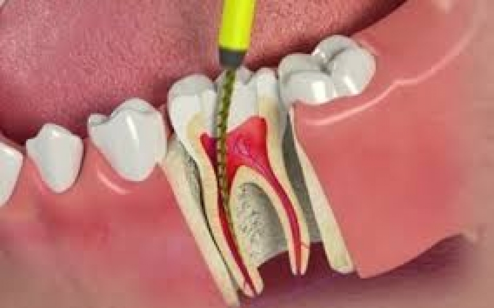 COB Odontologia