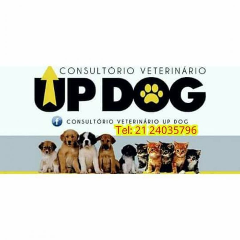 Up Dog - Canil e Veterinário