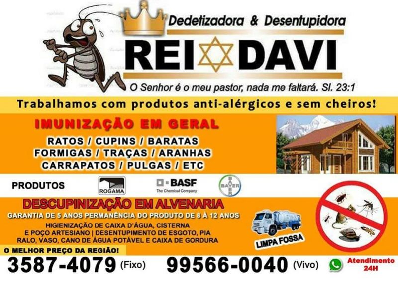 Rei Davi Dedetizadora & Desentupidora 